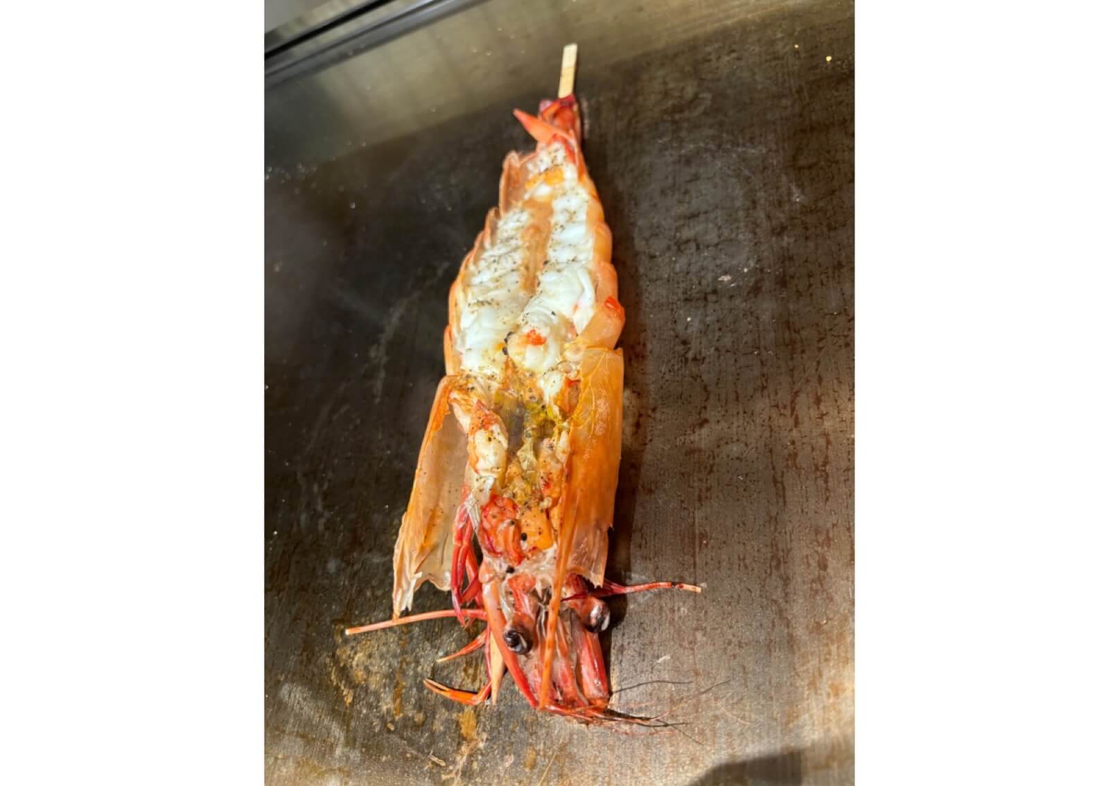 天然超特大海老 シータイガー